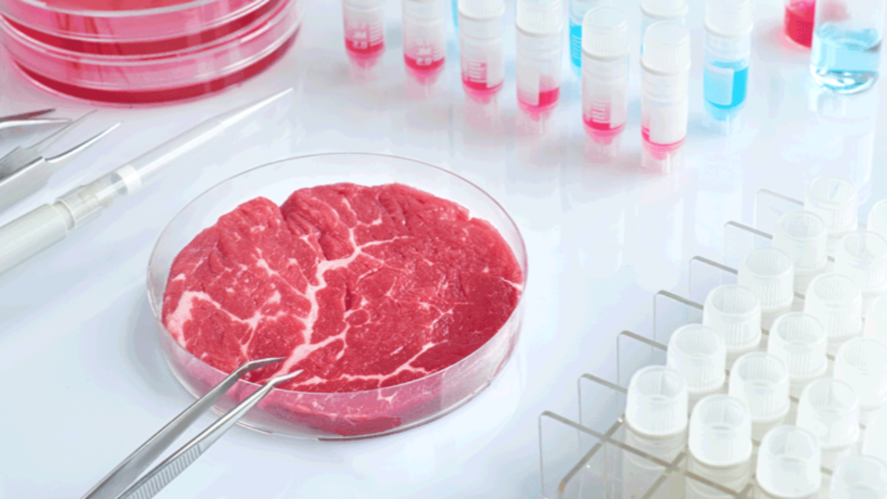 Lab-grown meat, dairy, and sugar could hit UK shelves in two years - Info3 - The future of news