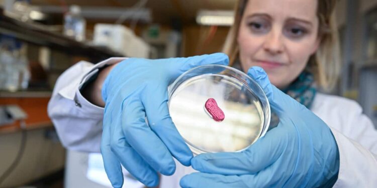 Lab-grown meat: Could Australia change its laws for this 'cell-based'  poultry option? | SBS News