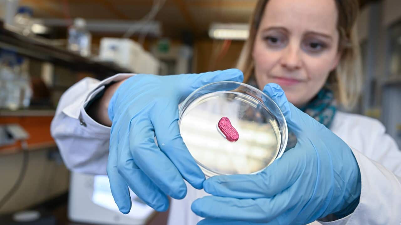 Lab-grown meat: Could Australia change its laws for this 'cell-based' poultry option? | SBS News